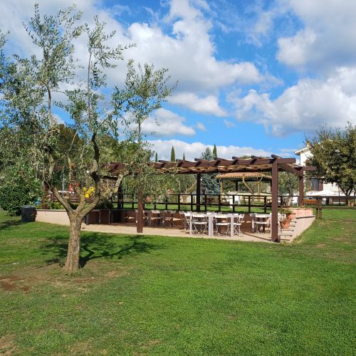 area ulivi3
